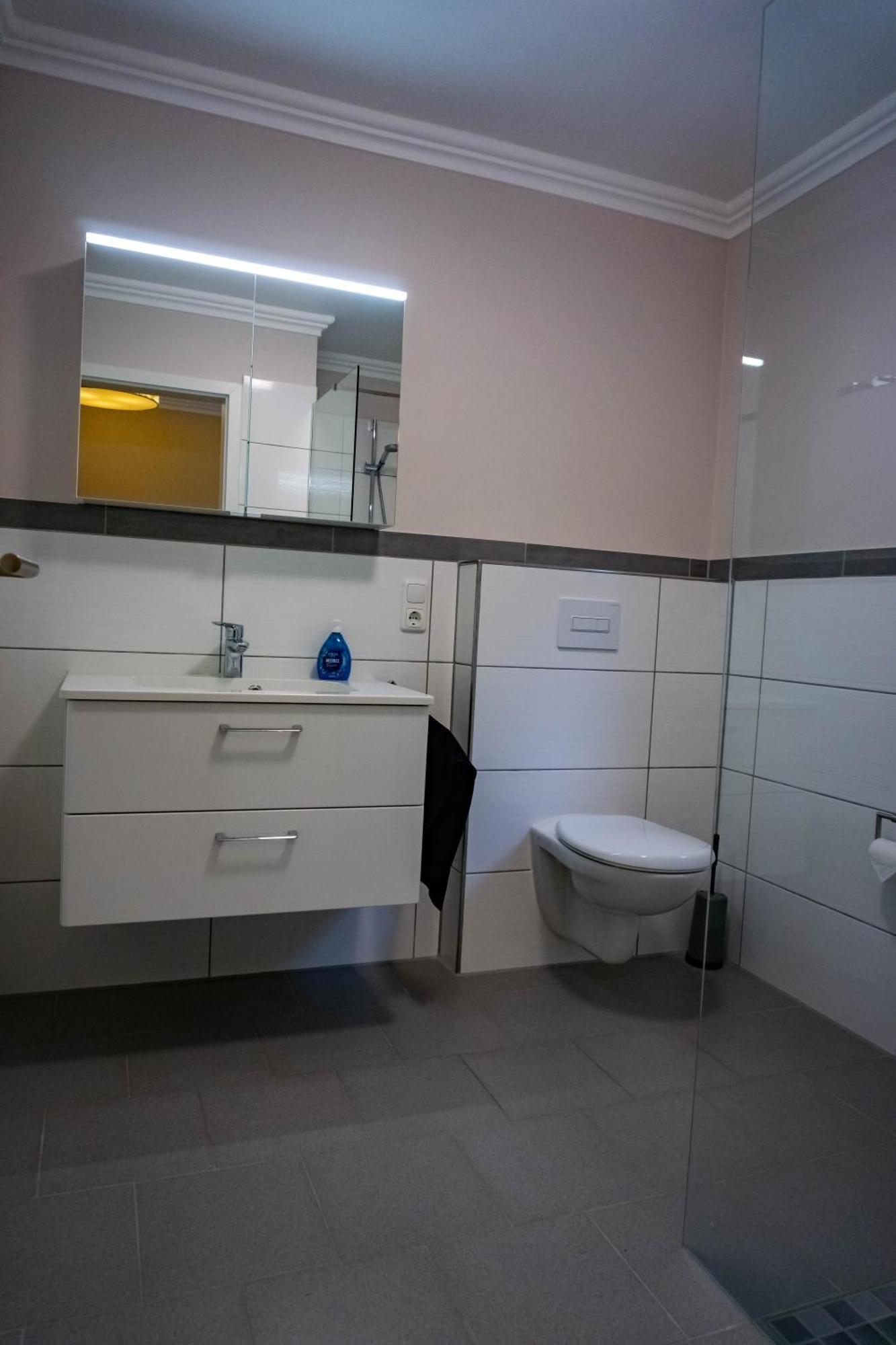 Ferienwohnung Haus Strandlust- Gemuetliches Studio Direkt Am Duemmer Lembruch Exterior foto